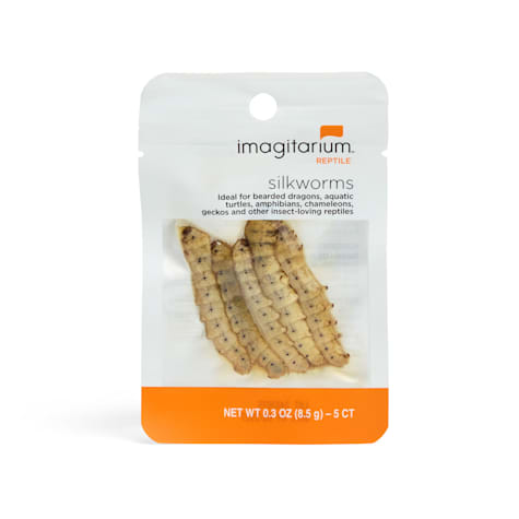 Imagitarium Silkworms