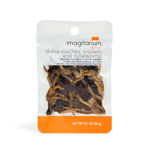 Imagitarium Insect Variety Pack