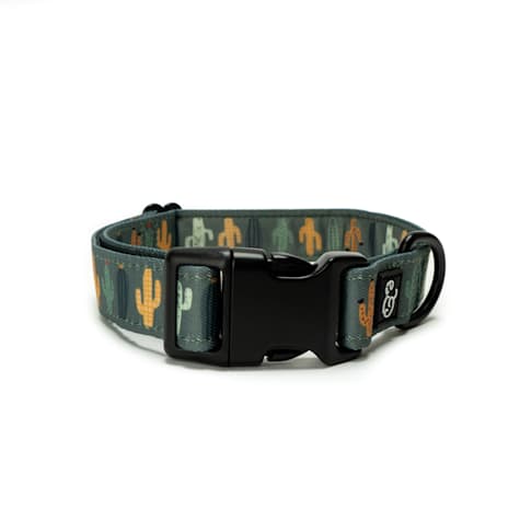Lucy & Co. The Looking Sharp Dog Collar