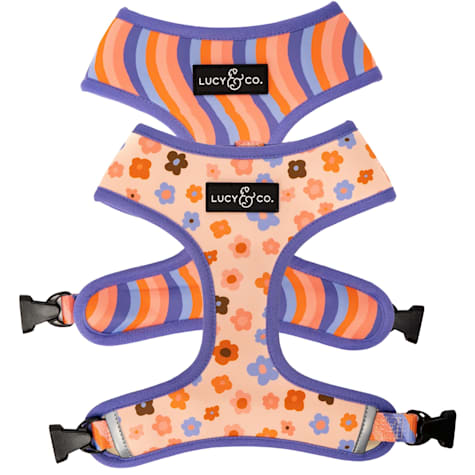 Lucy & Co. Reversible Dog Harness