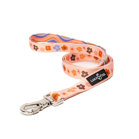 Lucy & Co. The Let's Groove Dog Leash
