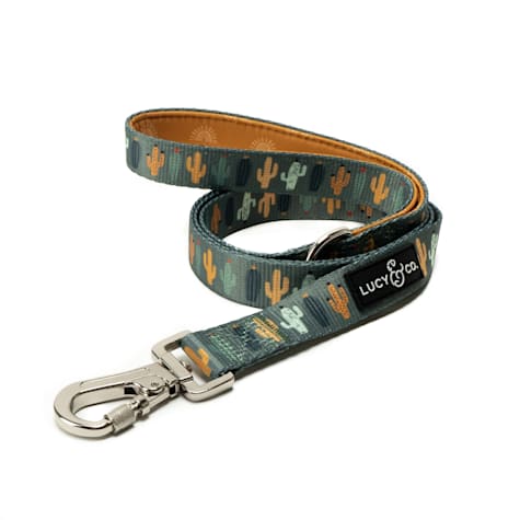Lucy & Co. The Looking Sharp Dog Leash