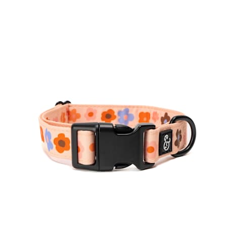 Lucy & Co. The Let's Groove Dog Collar