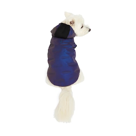 Reddy Ombre Reflective Dog Puffer Jacket