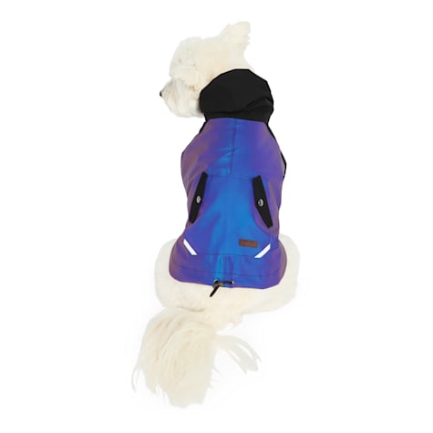 Reddy Ombre Reflective Dog Rain Jacket
