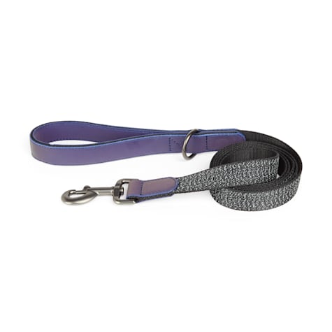 Reddy Reflective Dog Leash