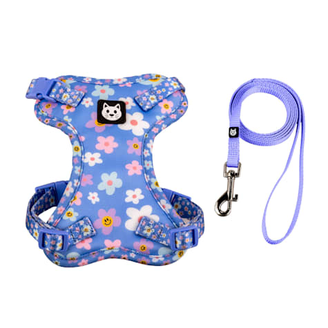 Kitty City Blue Smile Floral Harness and Leash Set