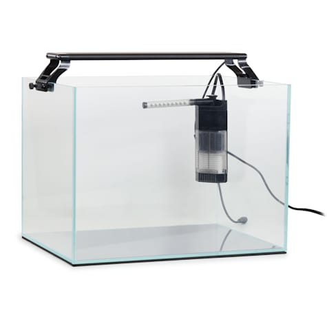 AquaZen Rimless Desktop Aquarium Kit