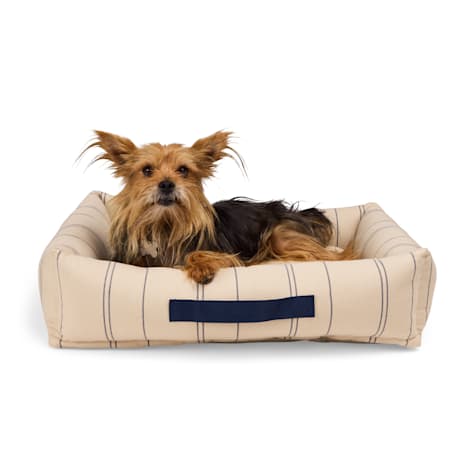 EveryYay Stripe Cuddler Dog Bed