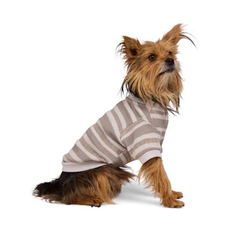 Reddy Reflective Stripe T-Shirt for Dogs