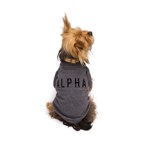 Reddy Alpha Crewneck for Dogs