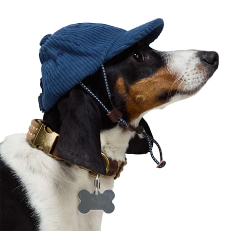 Reddy Classic Hat for Dogs
