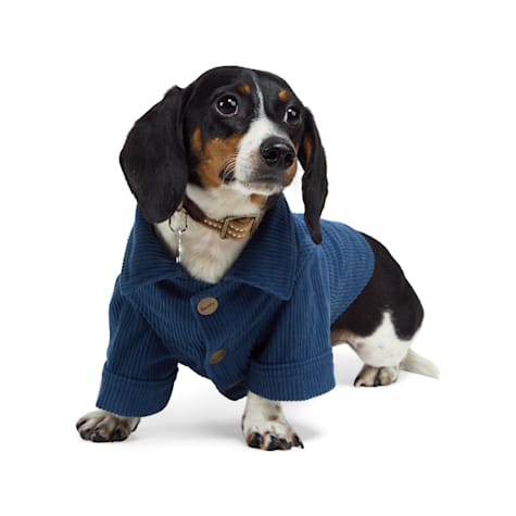 Reddy Corduroy Jacket for Dogs