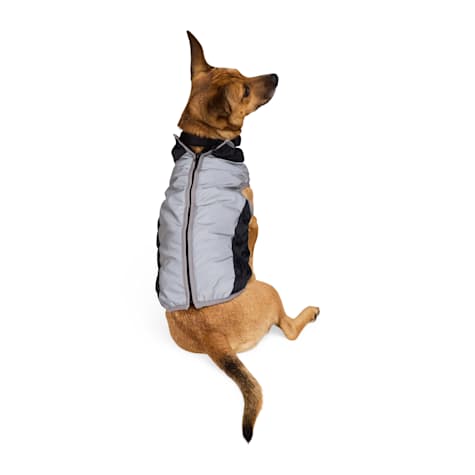 YOULY Reflective Jacket for Dogs and Cats