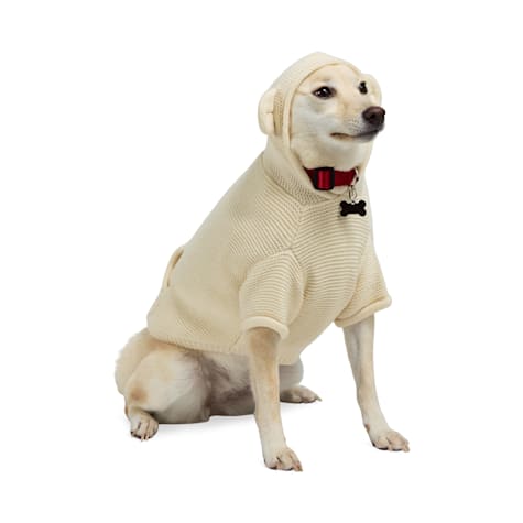 YOULY Teddy Sweater for Dogs and Cats