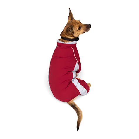 YOULY Snowsuit for Dogs