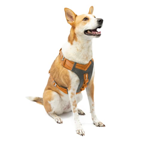 Kurgo Orange Journey Air Dog Harness
