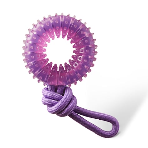 Outward Hound Purple Dental Chew Wheel Dog Toy