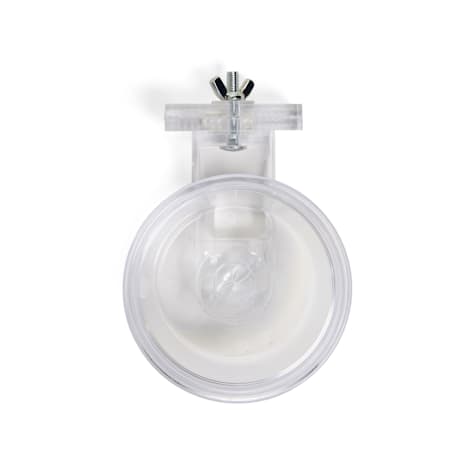 EveryYay Food & Water Crock for Small Animals