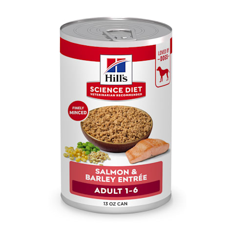 Hill's Science Diet Adult Salmon & Barley Entree Wet Dog Food