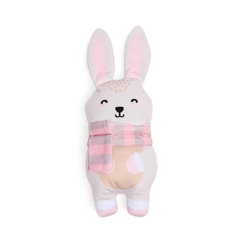 Petco Plush Bunny with Scarf Dog Toy
