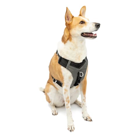 Kurgo Black/Gray Journey Air Dog Harness