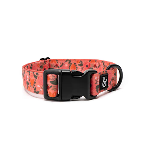 Lucy & Co. The Posy Dog Collar