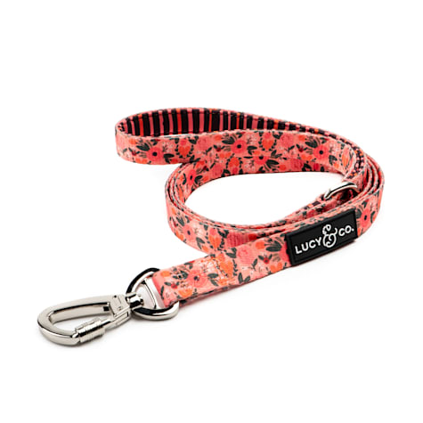 Lucy & Co. The Posy Dog Leash