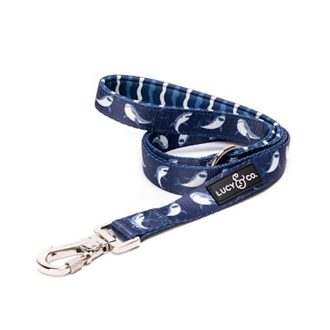 Lucy & Co. The Shark Attack Dog Leash