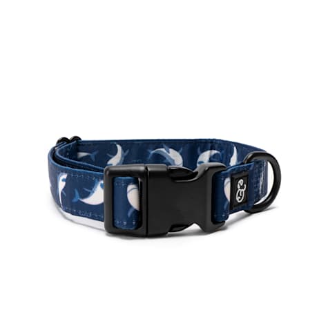 Lucy & Co. The Shark Attack Dog Collar