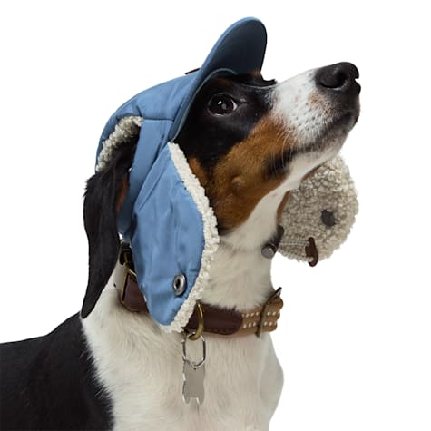 Reddy Trapper Dog Hat
