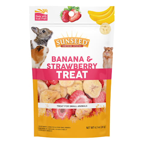 Sun Seed Banana & Strawberry Treat for Small Animals