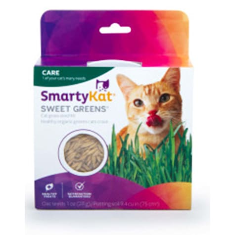 SmartyKat Sweet Green Organic Cat Grass Grow Kit