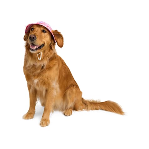 YOULY Reversible Heart Dog Bucket Hat