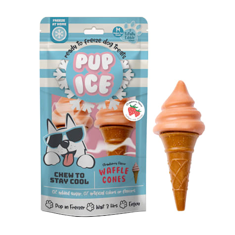 Pup Ice Waffle Cone Strawberry Treats for Dogs