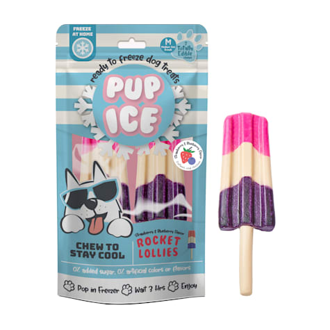 Pup Ice Rocket Lollies Srawberry and Blueberry Treats for Dogs