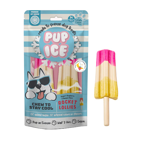 Pup Ice Rocket Lollies Srawberry and Banana Treats for Dogs