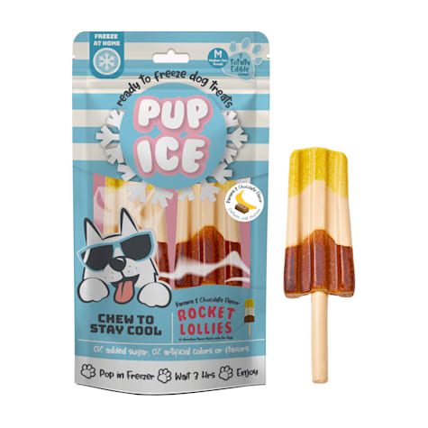 Pup Ice Rocket Lollies Banana and Chocolate Treats for Dogs