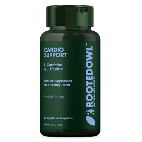 Rooted Owl Natural Supplements Cardio Support Capsules with L-Taurine and L-Carnitine for Dogs