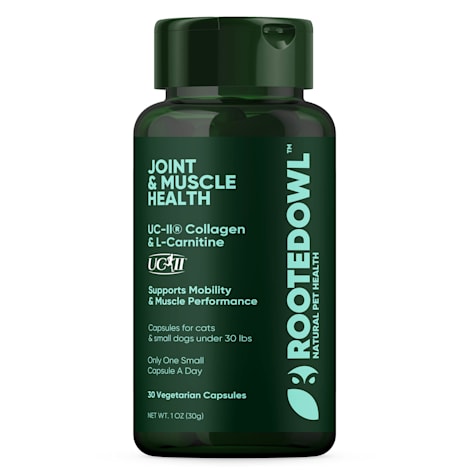 Rooted Owl Natural Supplements Joint & Muscle Health for Cats & Small Dogs Capsules with UC-II Collagen