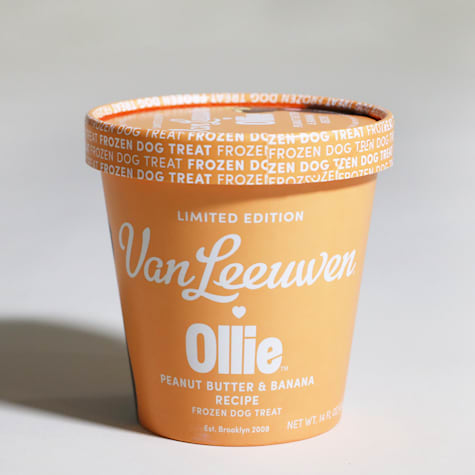 Ollie Van Leeuwen Peanut Butter and Banana Recipe Frozen Dog Treat