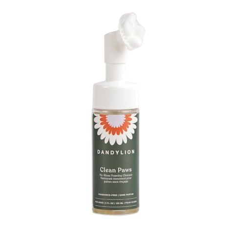 Dandylion Clean Paws No-Rinse Foaming Cleanser for Dogs