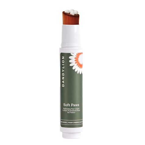 Dandylion Soft Paws Hydrating Paw Lotion for Dogs