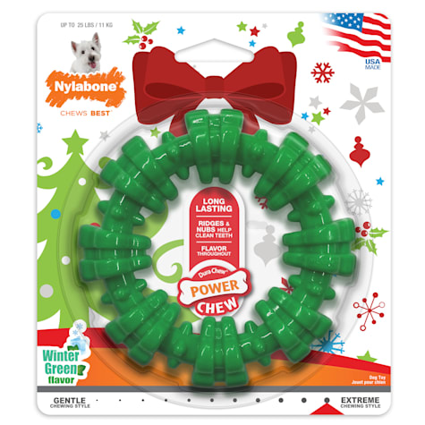 Nylabone Power Chew Holiday Textured Dog Chew Ring Winter Green for Dogs Up to 25 lbs.