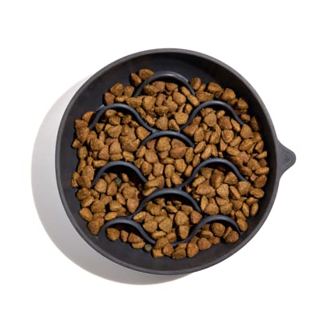 Wild One Black Slow Feeder Suction or Insert Bowl for Dogs