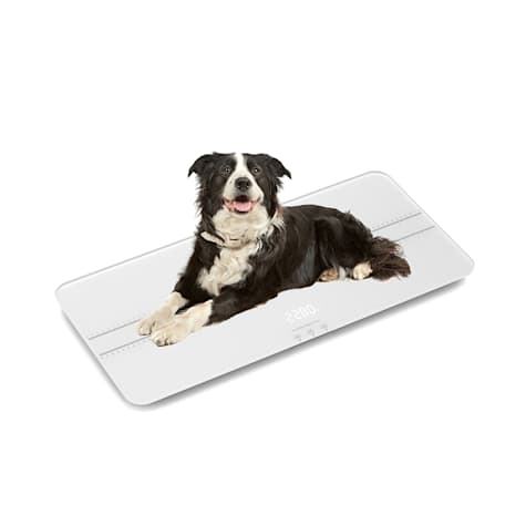 UniPaws Bluetooth Pet Scale for Dogs and Cats MAX 220 lbs.