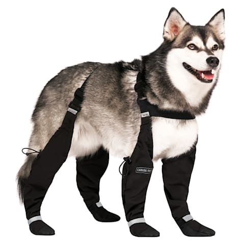 Canada Pooch Short Suspender Boots for Dogs