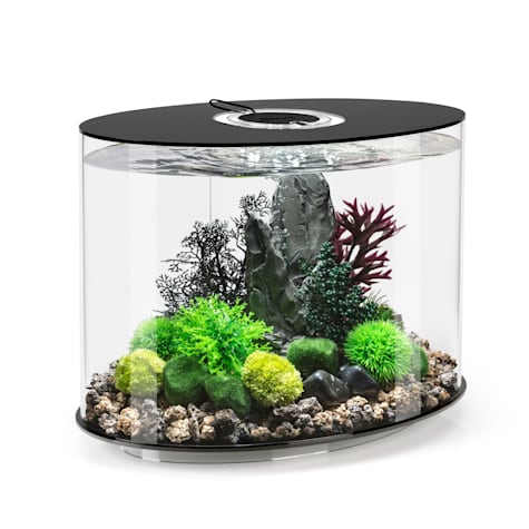 biOrb LOOP 30 Black Aquarium with Standard Light