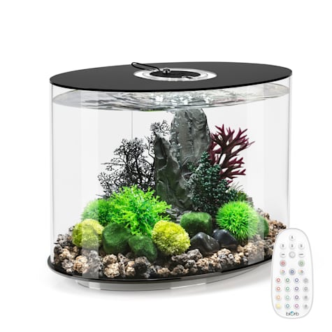 biOrb LOOP 30 Black Aquarium with MCR Light