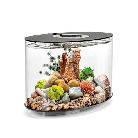 biOrb LOOP 15 Black Aquarium with Standard Light